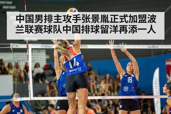 中国男排主攻手张景胤正式加盟波兰联赛球队中国排球留洋再添一人