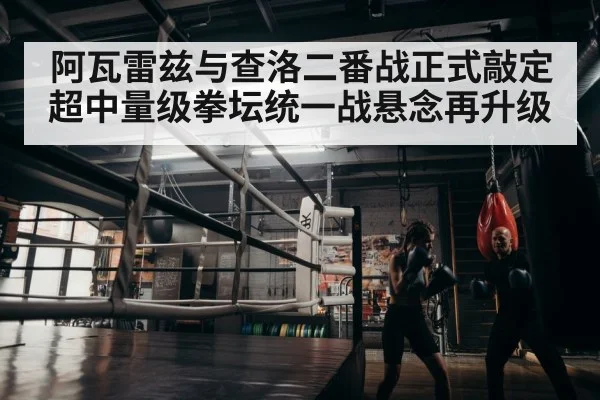 boxer training
